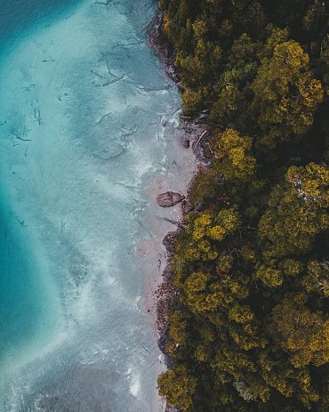 Nature Image 2